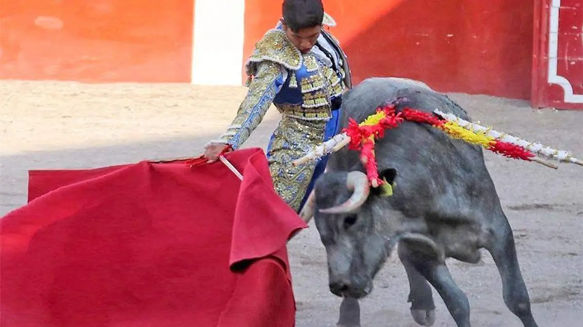 joel castañeda novillero